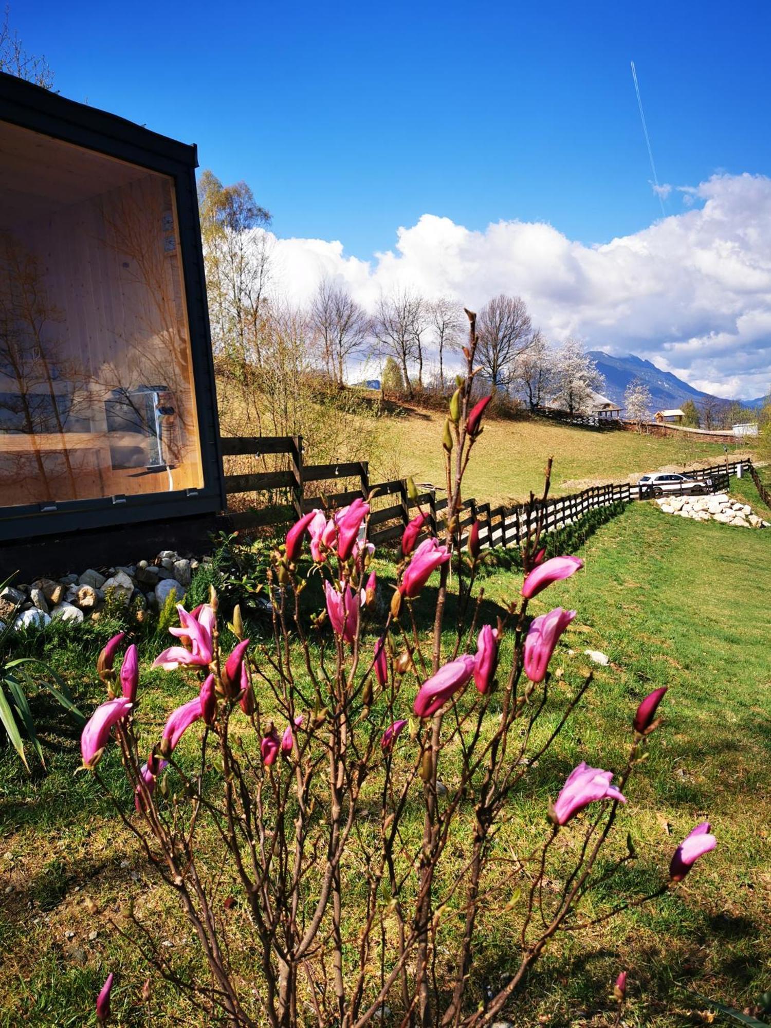 Doza De Verde Retreat&Spa Bran-Adults Only Sohodol  Eksteriør billede