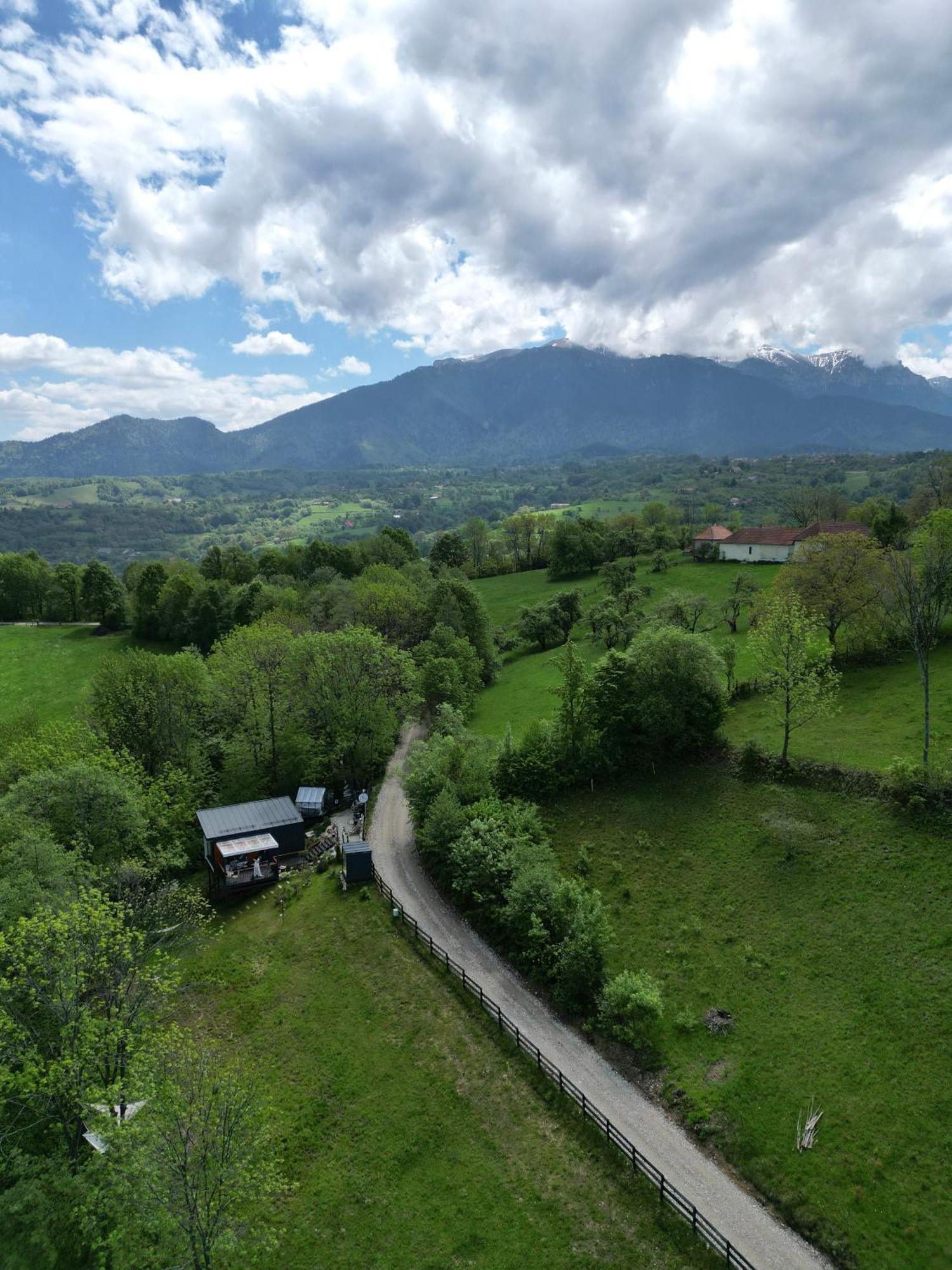 Doza De Verde Retreat&Spa Bran-Adults Only Sohodol  Eksteriør billede